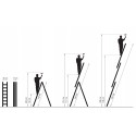 Dimensions echelle Dimensions echelle
