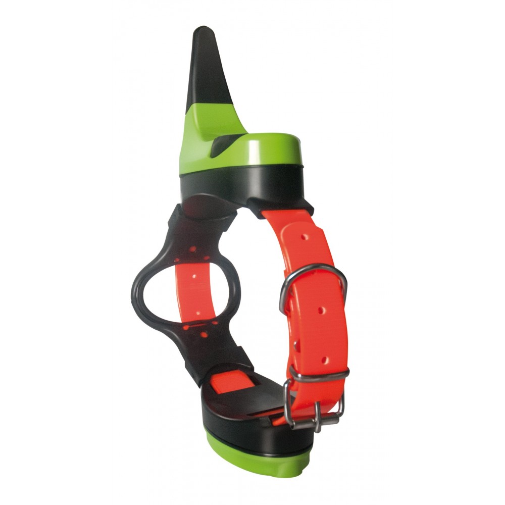 Collier GPS chien pour localiser votre chien sur votre