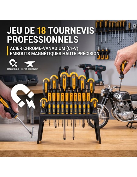 Jeu de 18 tournevis