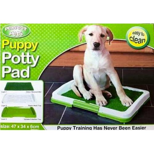 toilettes pour chien litière pour chien