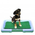 toilettes pour chien litière pour chien