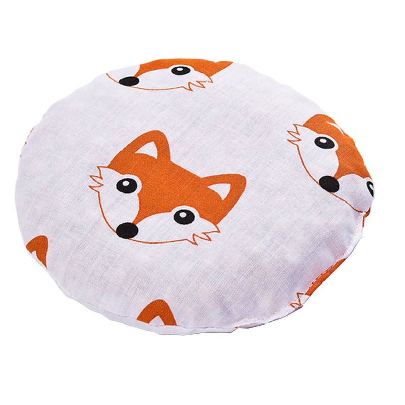 Bouillotte écologique RENARD