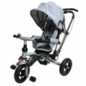 Tricycle gris