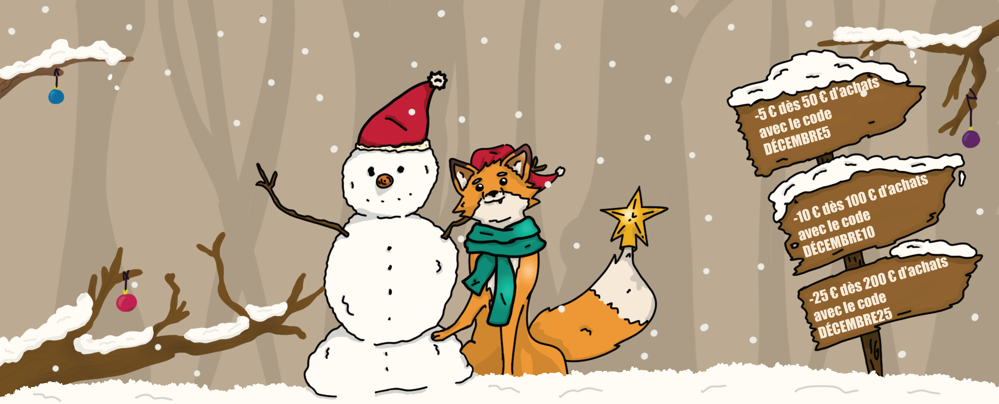 Les offres de décembre