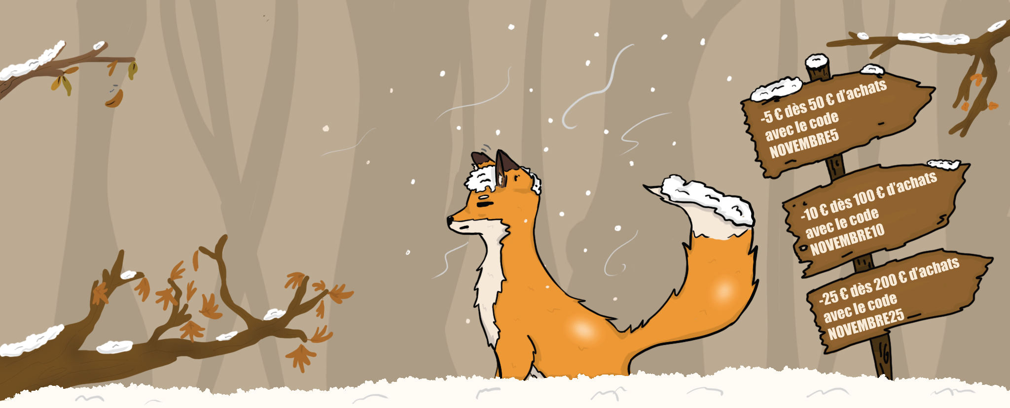 Les offres de novembre
