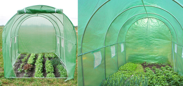 serre de jardin promo