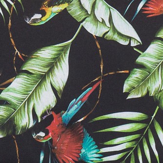 Jungle